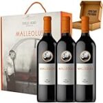Maridaje Perfecto: Análisis del Vino Malleolus y Su Precio en Comparativa con Quesos y Embutidos Exquisitos