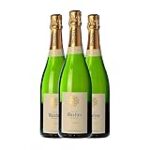 Maridaje Perfecto: Cava Mestres Coquet y los Mejores Quesos y Embutidos para una Experiencia Gourmet