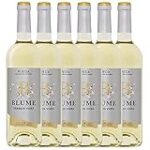 Maridajes Perfectos: Comparativa de Quesos y Embutidos para Disfrutar con Verdejo y Viura