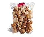 Descubre el Sabor del Boletus Edulis: Comparativa de Quesos y Embutidos que Realzan su Precio