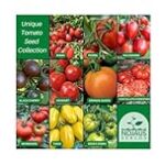 El Maridaje Perfecto: Comparativa de Quesos y Embutidos con las Mejores Variedades de Tomate El Maridaje Perfecto: Comparativa de Quesos y Embutidos con las Mejores Variedades de Tomate