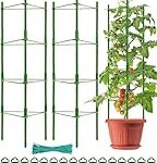 El Tomaquet de Penjar: Un Acompañante Ideal para Realzar Quesos y Embutidos Exquisitos El Tomaquet de Penjar: Un Acompañante Ideal para Realzar Quesos y Embutidos Exquisitos