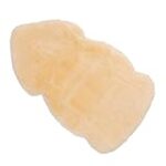 Carre Cordero: Un Análisis del Sabor y Maridaje Perfecto con los Mejores Quesos y Embutidos