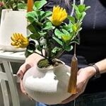 Maridaje exótico: Quesos y embutidos perfectos para realzar el sabor de los limones 'mano de Buda' Maridaje exótico: Quesos y embutidos perfectos para realzar el sabor de los limones 'mano de Buda'